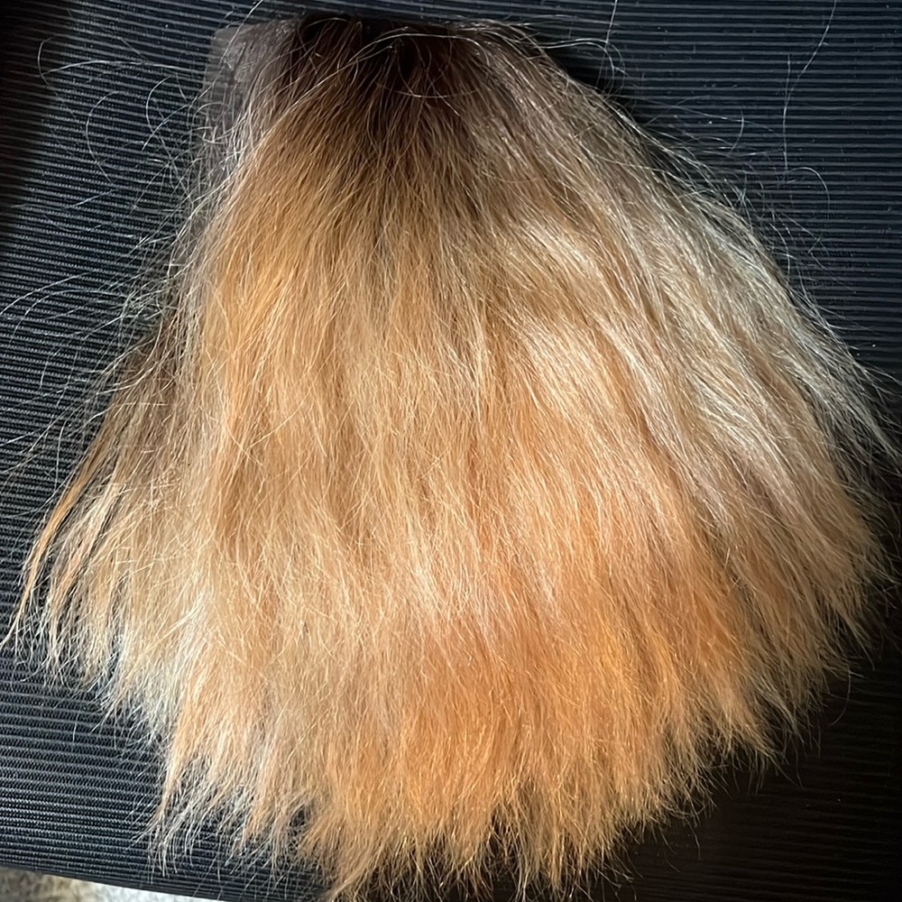 Sepia blonde ombré wig